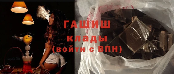 дмт Гусев
