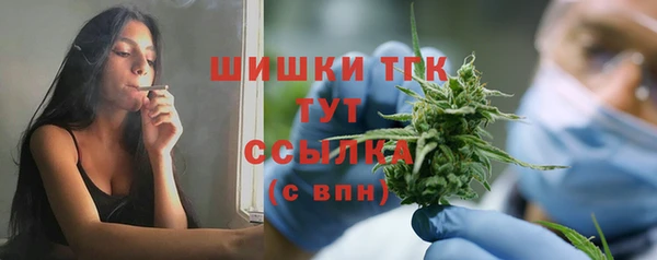 дмт Гусев