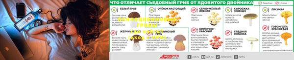 дмт Гусев