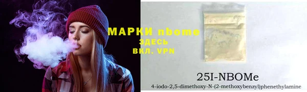 индика Сясьстрой