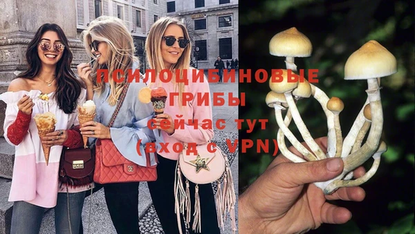 mix Гусь-Хрустальный