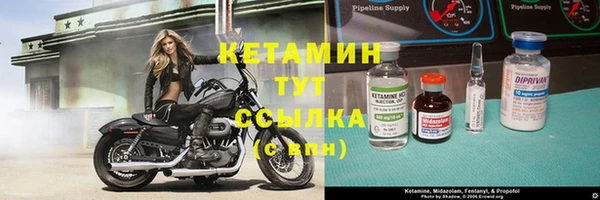 дмт Гусев