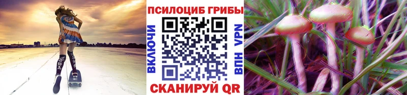 Псилоцибиновые грибы прущие грибы  Купить где  Новое Девяткино 